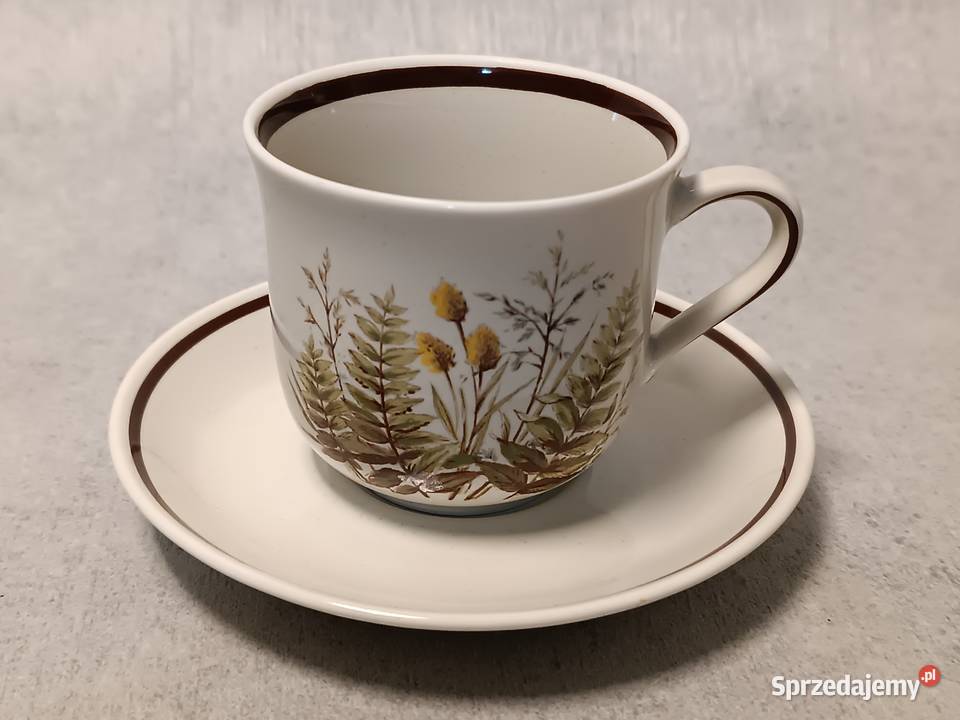 WINTERLING Filiżanka Rslau Bavaria Duet Paproć Porcelana i szkło