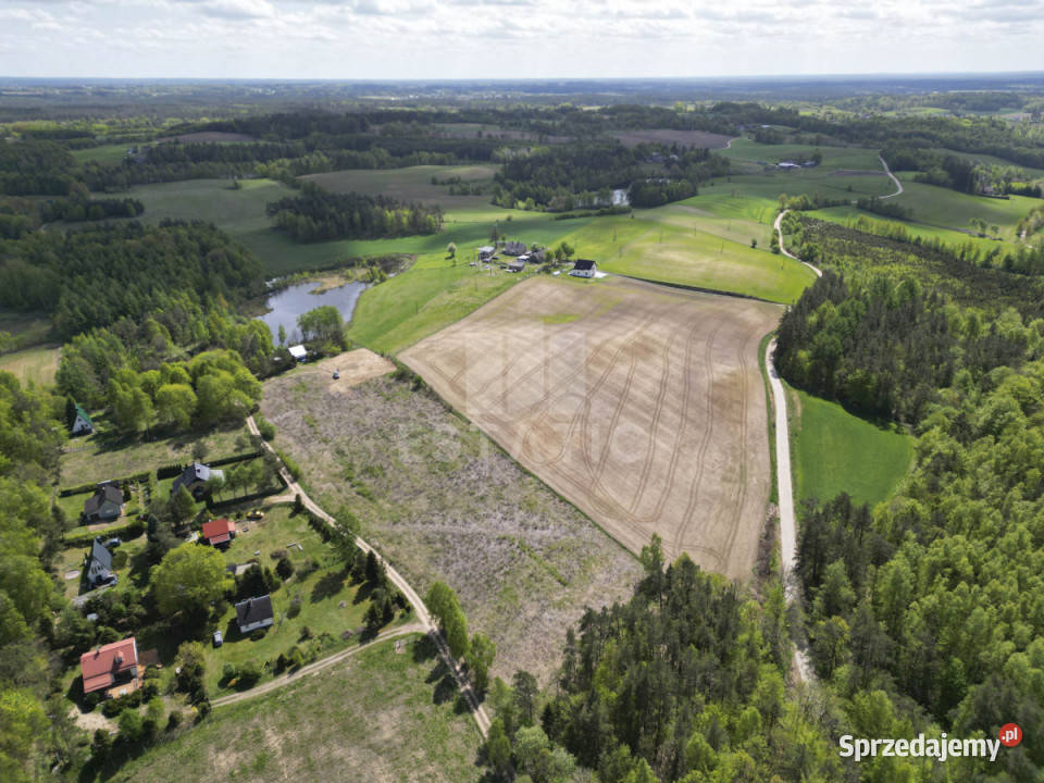 Sprzedam grunt Podjazy 1000m2