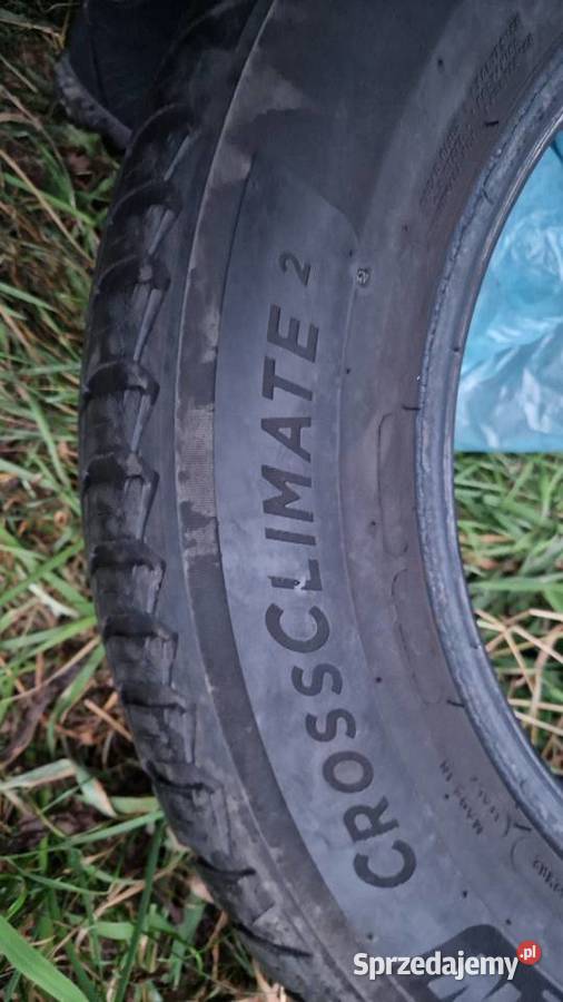 Opony Michelin crossclimate2 195 65 R15 komplet lubuskie Gorzów Wielkopolski
