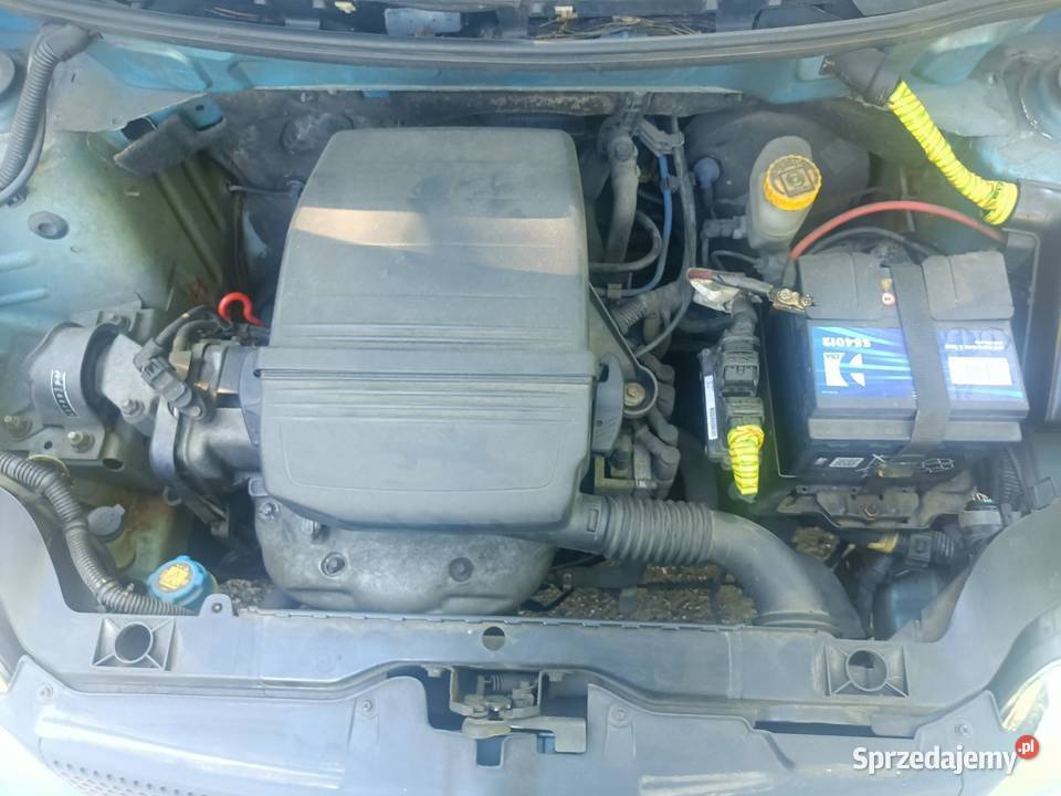 Fiat panda Fiat Sosnowiec