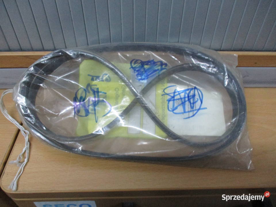 Pasek wielorowkowy Man 51968200371 ciężarowe Mogilno