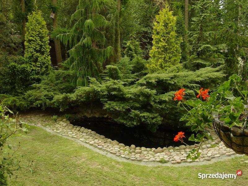 działkę rekreacyjną jeziorem zdworskim