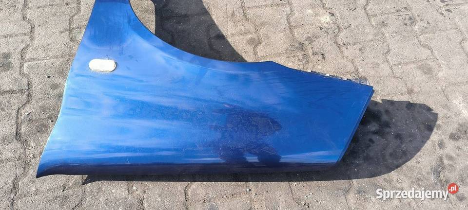 BŁOTNIK LEWY PRZÓD RENAULT CLIO II TED44 Pozostałe