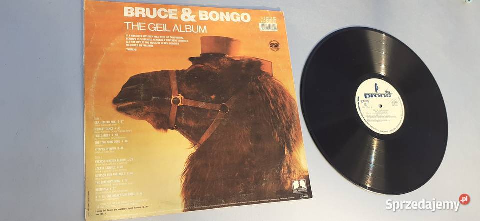 Bruce Bong płyta winylowawinyl Płyty i kasety Tuszkowo