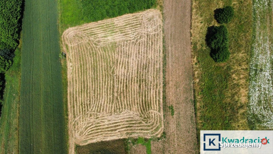 sprzedaży działki 2852m2 Chrząstówka 27zł/m2 sprzedam