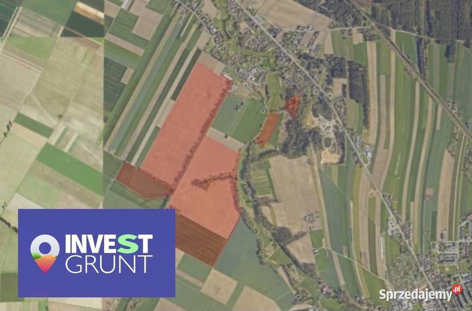 Dzierżawa gospodarstwa rolnego 21032 ha 2103200m2 Olesno