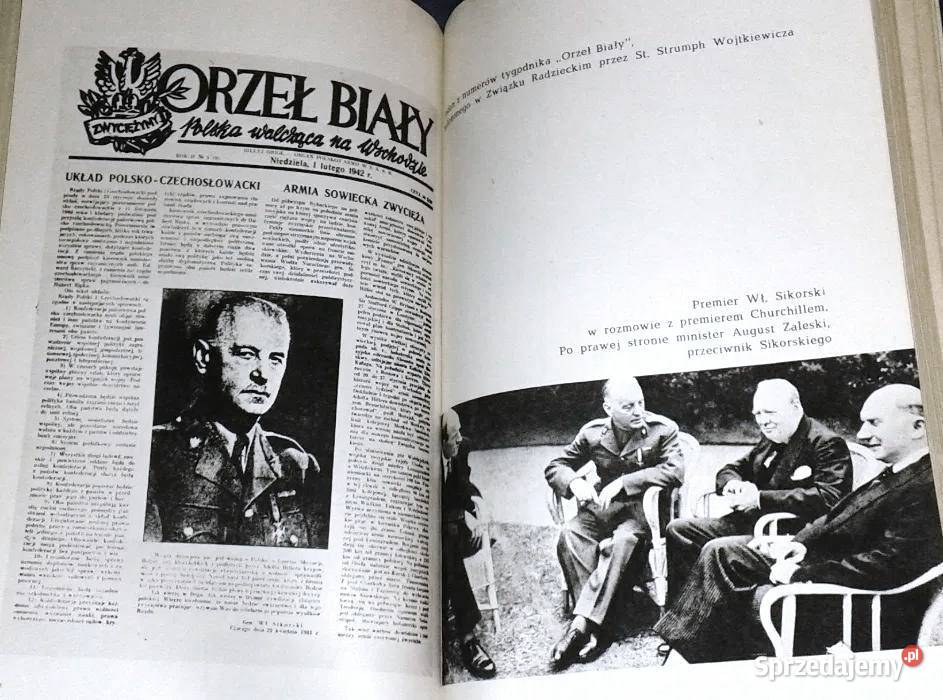 Siła złego Stanisław Strumph Wojtkiewicz lubelskie