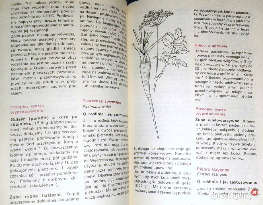 Rośliny przyprawowe i przyprawy w węgierskiej Pozostałe lubelskie Chełm