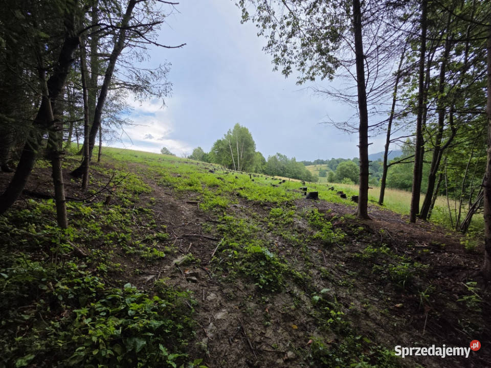 Działka BUDOWLANA 28 arów Bieszczady Bóbrka k podkarpackie Solina