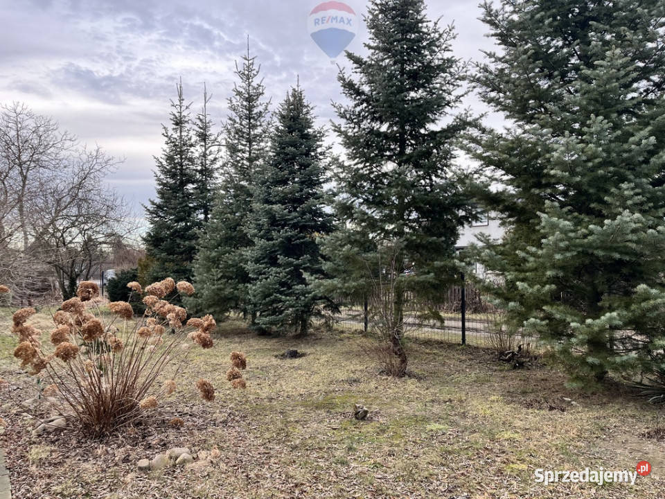 Działka ROD Bukowskiej Poznań