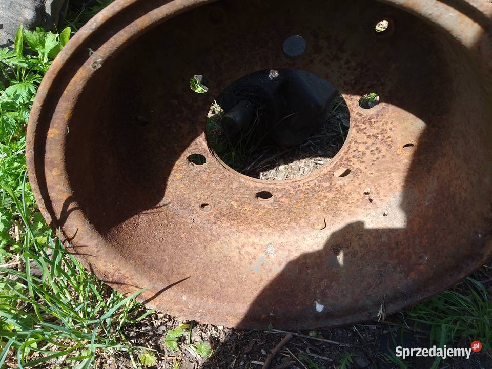 Felga polski rozrzutnik podlaskie Wyszki