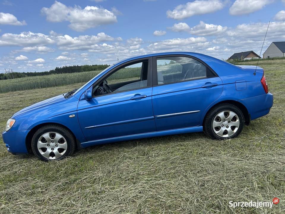 Kia CERATO 16d początku w jednych rękach SALON Cerato wielkopolskie Poznań