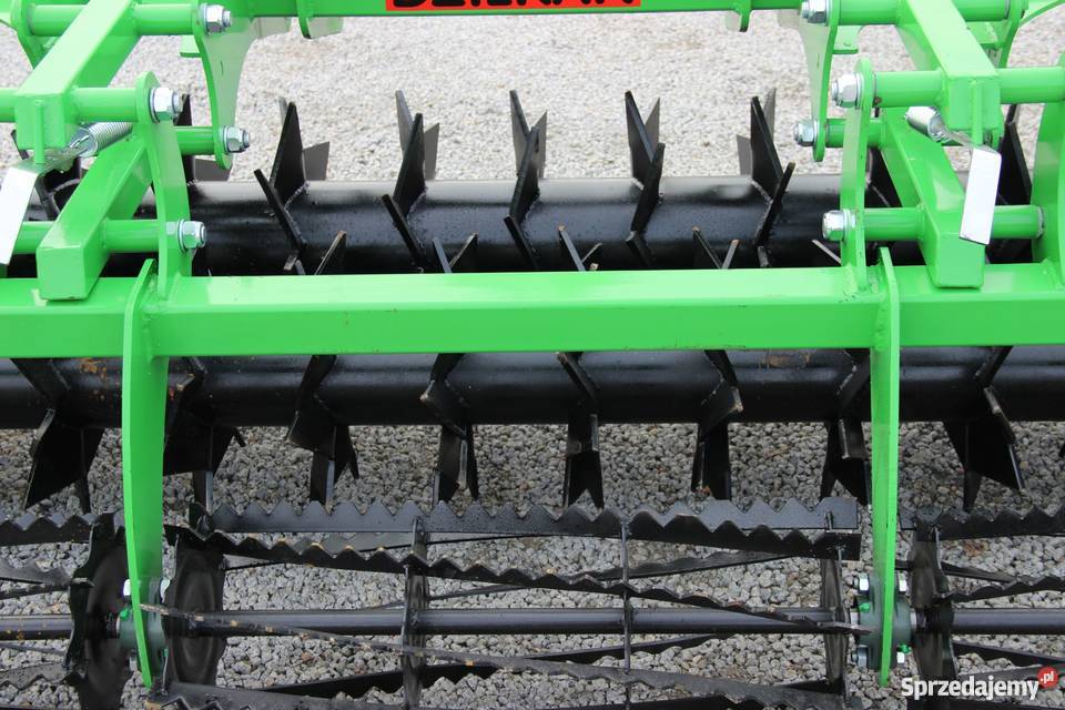 Wał strunowy podwójny Dziekan Lew zębaty falisty nieuszkodzony Rogóźno