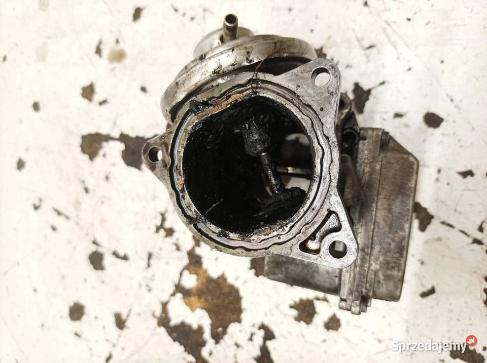 PRZEPUSTNICA 038129637D 19 TDI VW Volkswagen świętokrzyskie