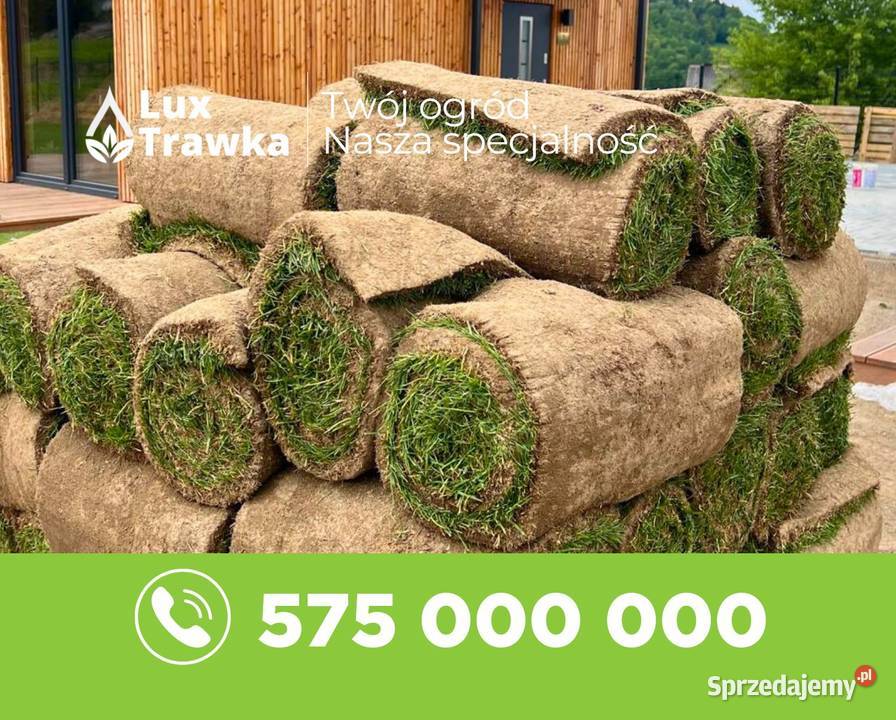 Trawa z rolki Sezonowana 1218 miesięcy Nowy Sącz