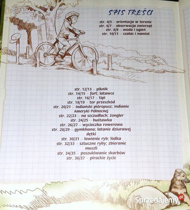 Dziennik przygód chłopaków Opracowanie zbiorowe Chełm