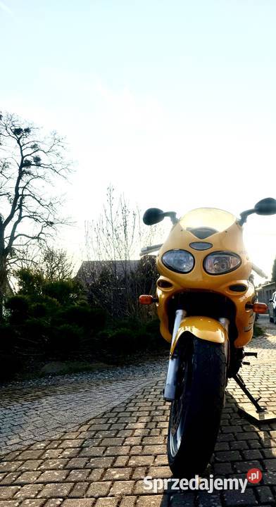 Triumph Sprint RS955i 955cm3 Wronki