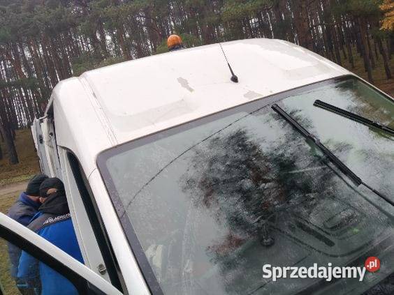 Syndyk sprzeda samochód ciężarowy Fiat Ducato Poznań