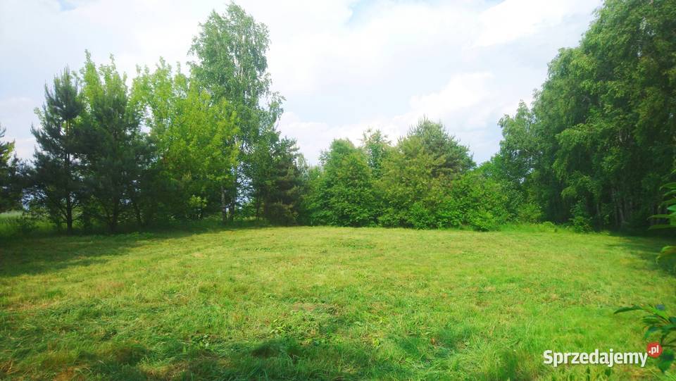 Sprzedam działkę 4828m2 Wkrą z prawem zabudowy 4828m2 Popielżyn-Zawady