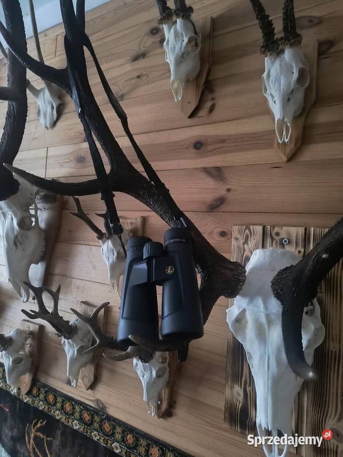 Lornetka 10x52 leupold BX2 AlpineHD Mielec sprzedam