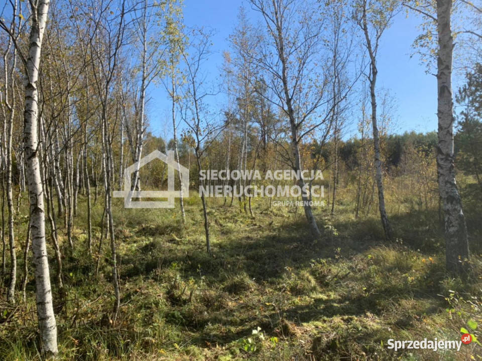 Działka 103582m2 Jaroszewy