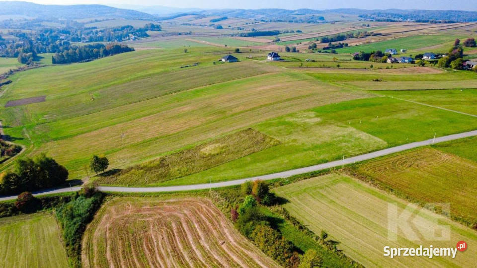 Grunt 6082m2 Jędruszkowce budowlana Sprzedaż