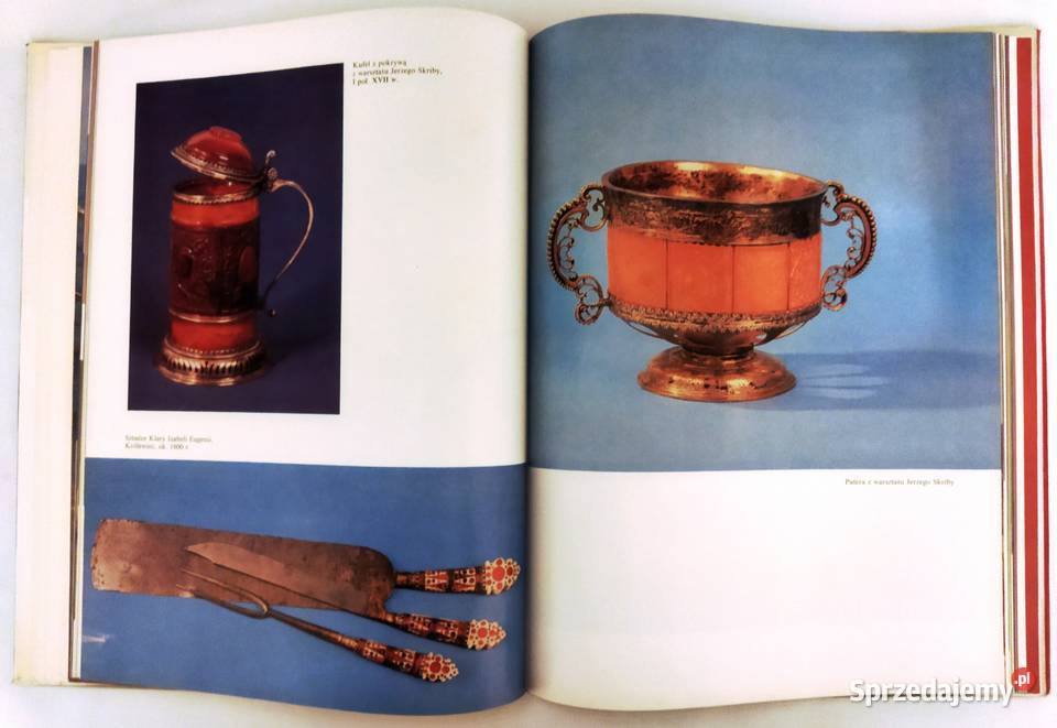 Polski bursztyn książka podkarpackie Rzeszów