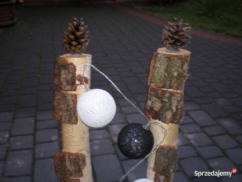 brzoza kule ledozdoba dekoracja mazowieckie Siedlce