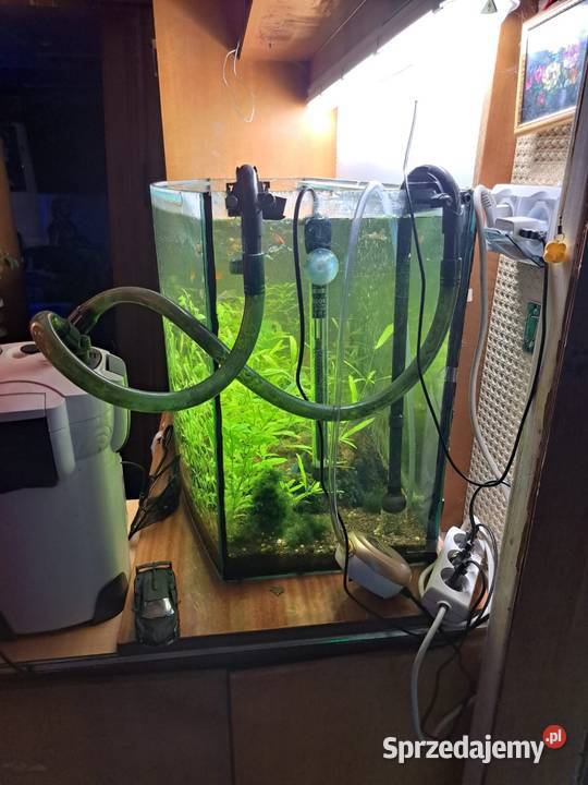 Sprzedam duży akwarium Warszawa sprzedam