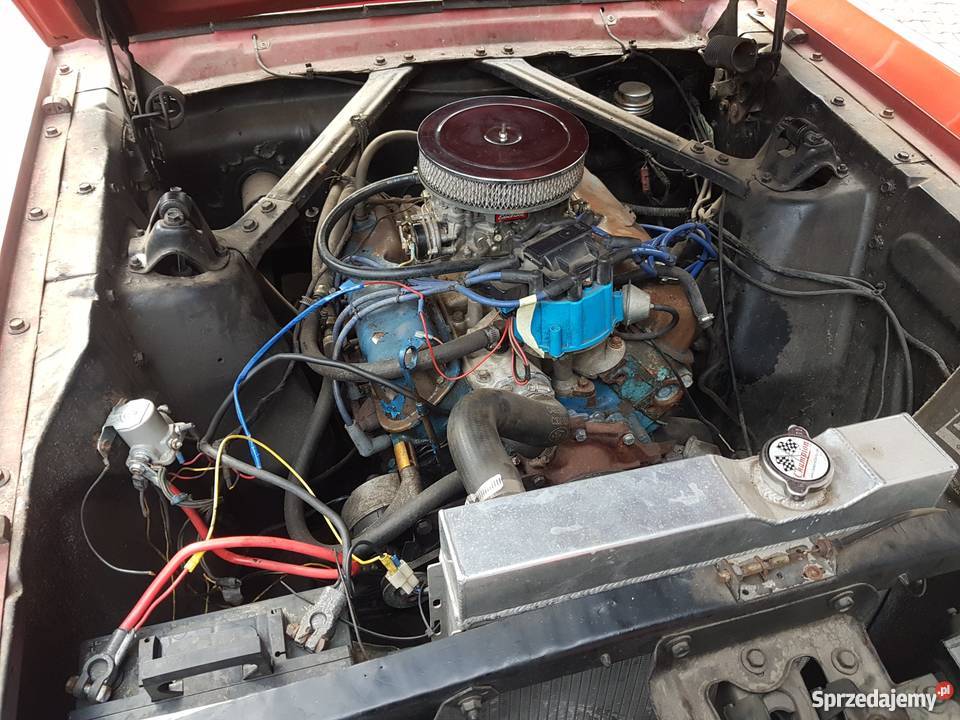 FORD MUSTANG 1966 Mysłowice