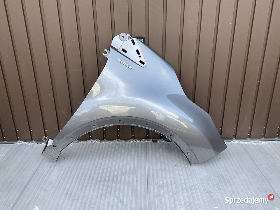 RENAULT CAPTUR I BŁOTNIK PRAWY PRZÓD wielkopolskie Pleszew