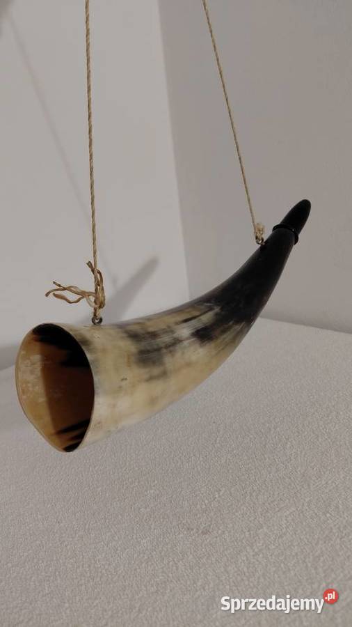 róg myśliwski bawoli Krzykawa