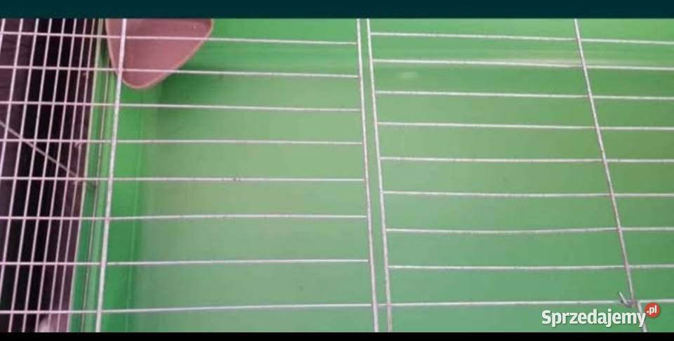 Duża klatka królika świnki morskiej dolnośląskie