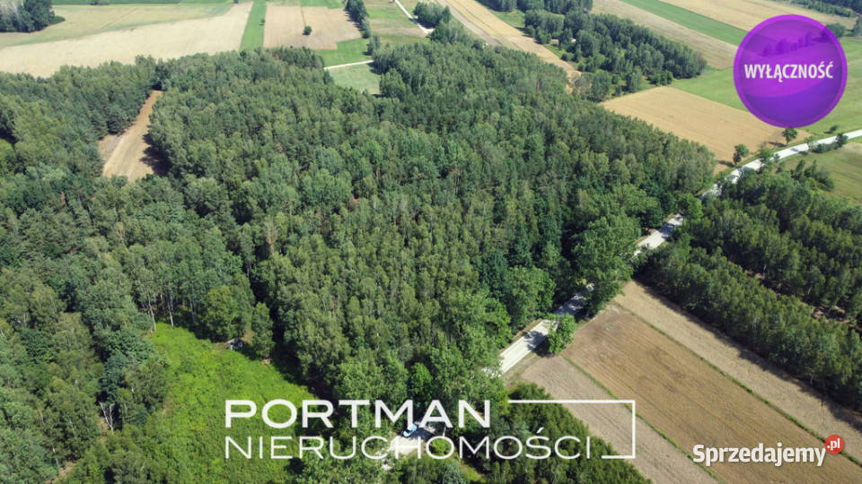Działka w Dobrzyńcu 15 200 m2 Dobrzyniec sprzedam
