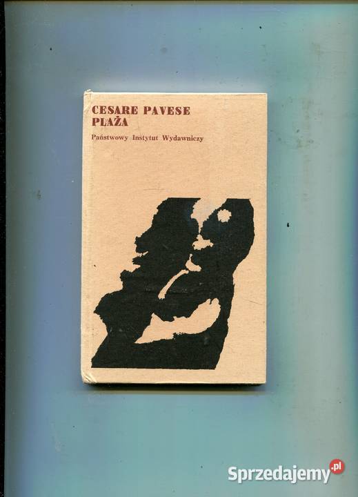 Plaża Cesare Pavese Kultura i Rozrywka Szczecin