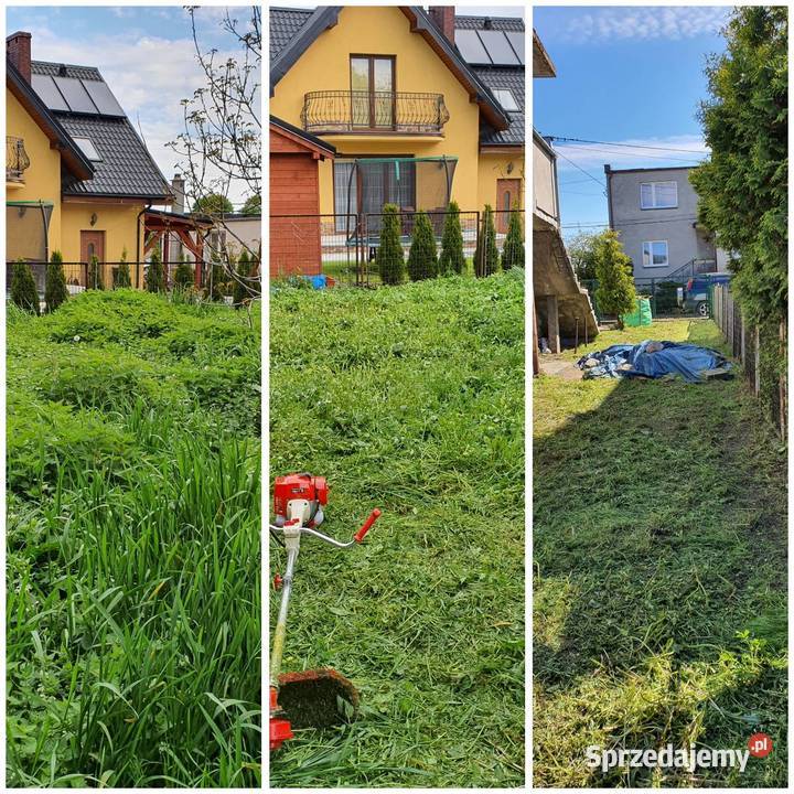 Sprzątanie działek ogrodów strychów piwnic itp Gdańsk