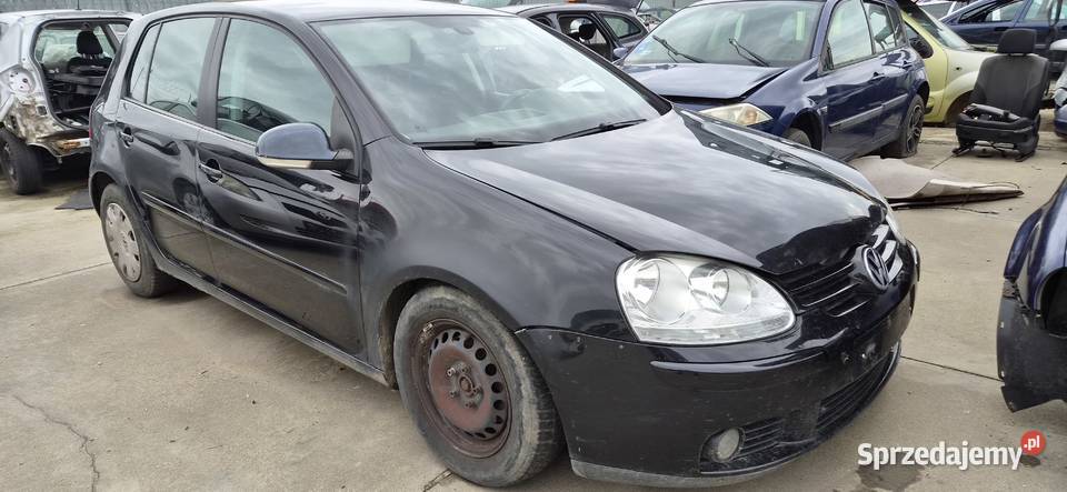 VW Golf 5 V 19 TDI 77kW 105 5d hatchback BLS Słońsk