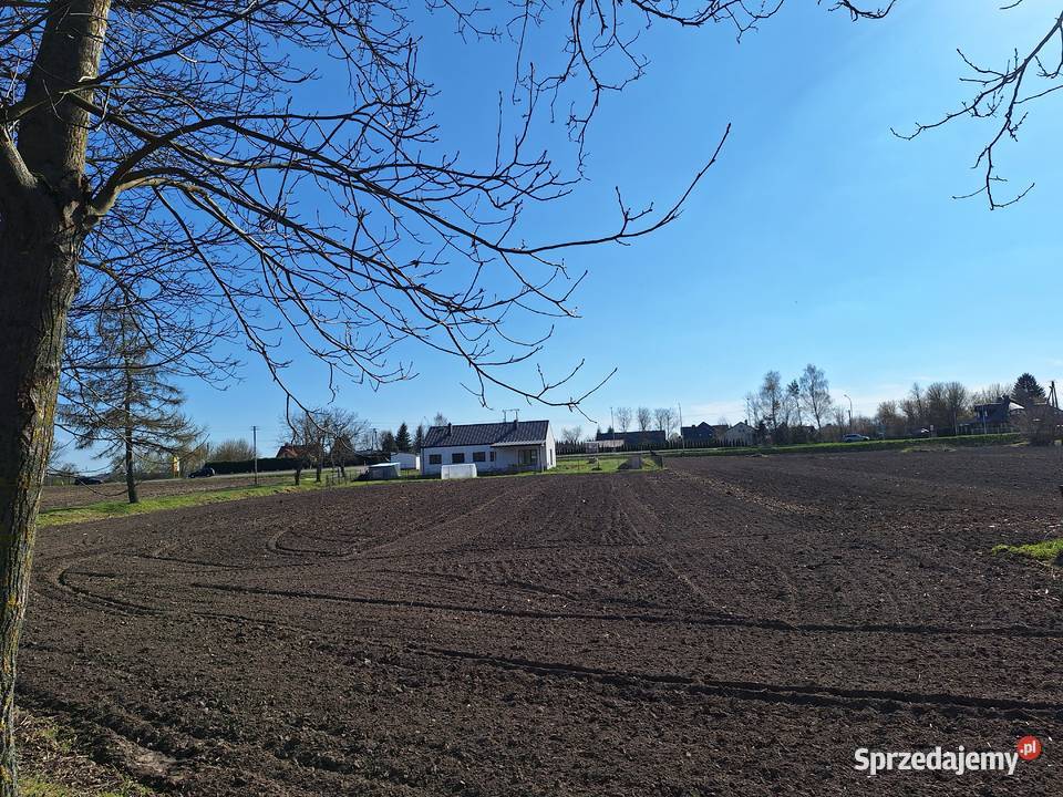 Sprzedam działki rolno budowlane z warunkami 1000m2 sprzedam