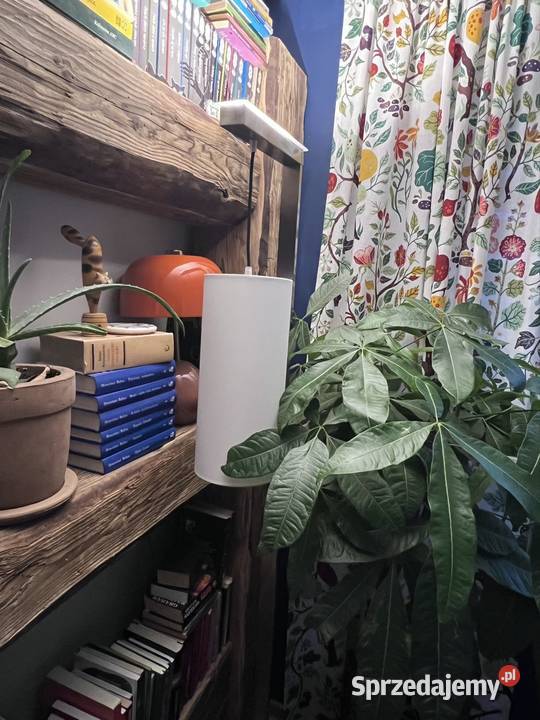 Lampa podłogowa LED Piwniczna-Zdrój