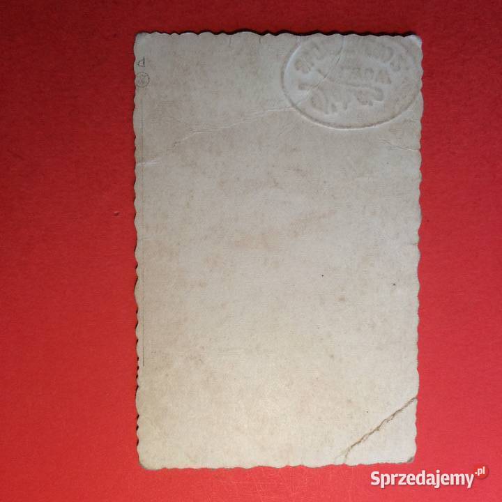 2025 Zdjecie Lwów 2 zachodniopomorskie Szczecin