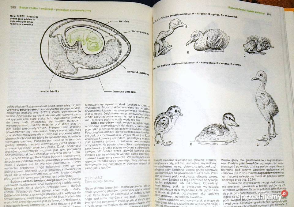 Biologia Wojciech Czechowski Chełm