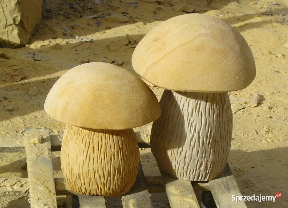 Rzeźby grzybów z piaskowca kamień naturalny Rzeźby i figury Kamienna Góra