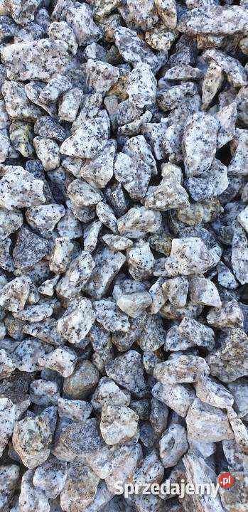 Grys granit Dalmatyńczyk 816 1622 Kamień Garwolin