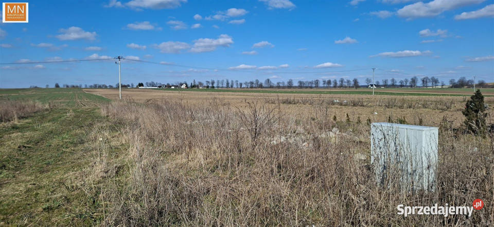 Działka PrandocinIły 2600m2 134zł/m2 Prandocin-Iły