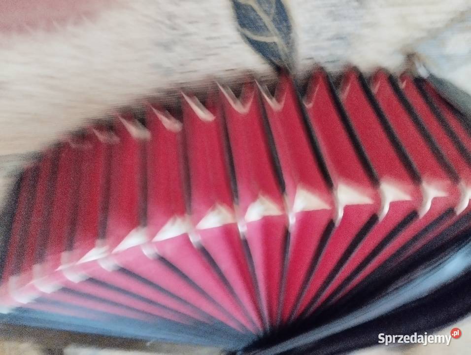 Paolo Soprani akordeon 80 basow Instrumenty klawiszowe i MIDI małopolskie Szczawa sprzedam