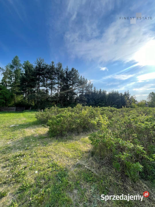 Grunt 1845 metrów Podkampinos Jagodowa