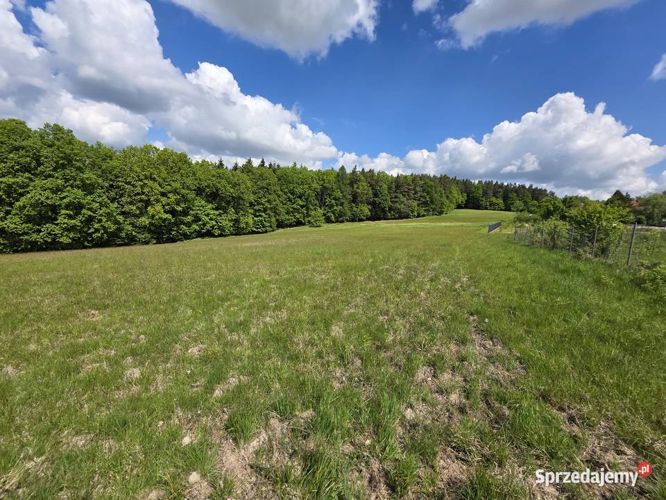 60a siedliskowa działka pod lasem 27zł/m2 Barwałd Dolny