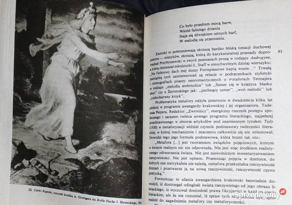 Sztuka słowa Julian Krzyżanowski Chełm