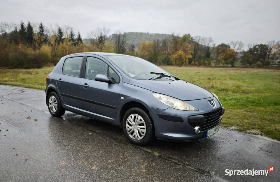 Peugeot 307 II 2005 Rok produkcji 2007 Rząśnik sprzedam