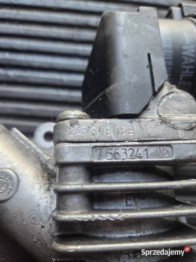 Zawór EGR BMW e81 Łagów sprzedam